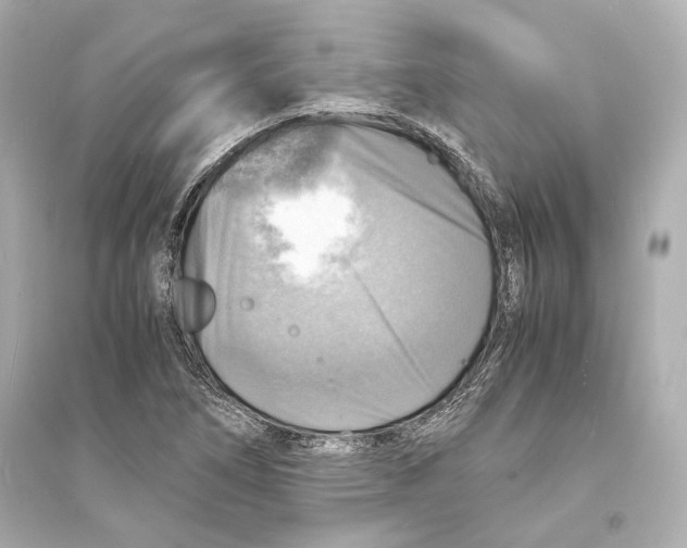 X0000093731266200711131029