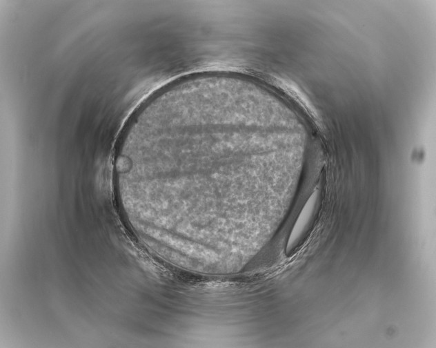 X0000093731268200711131029