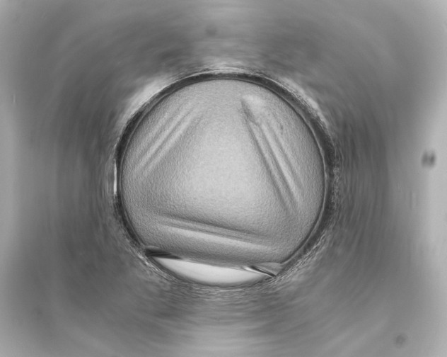 X0000093731269200711131029