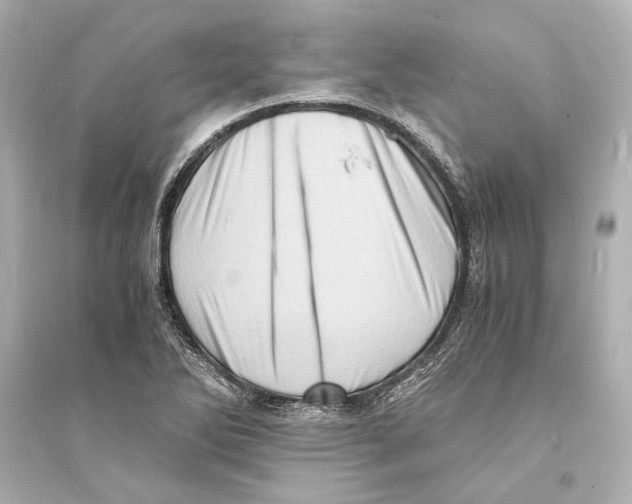 X0000093731270200711131029