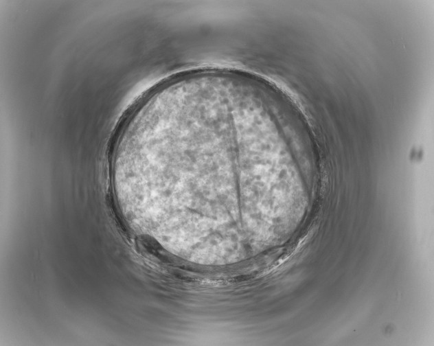 X0000093731271200711131029