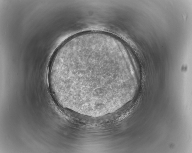 X0000093731272200711131029