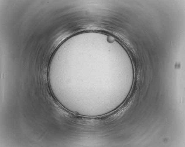 X0000093731273200711131029