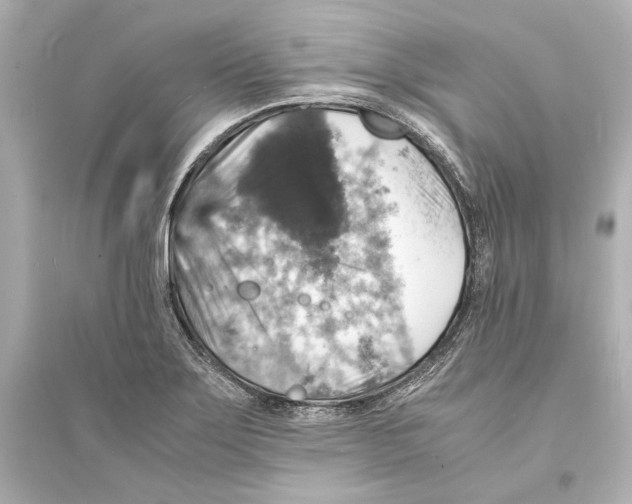 X0000093731275200711131029