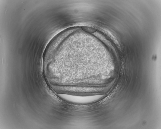 X0000093731276200711131029