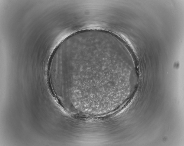 X0000093731277200711131029