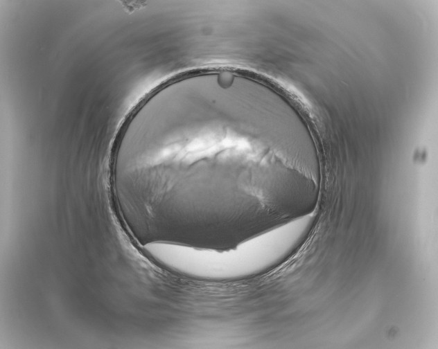 X0000093731279200711131029