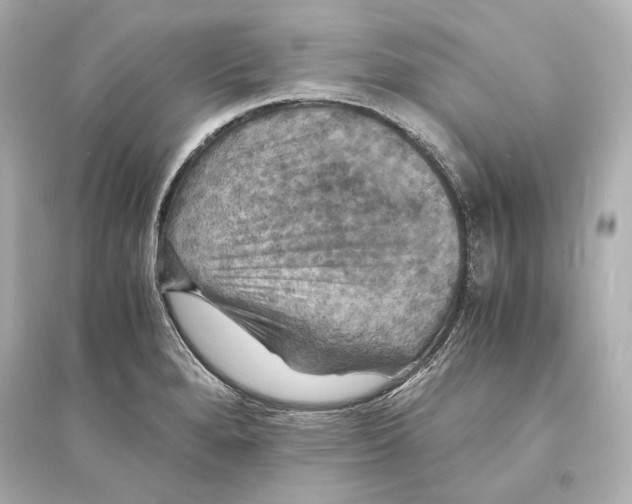 X0000093731280200711131029