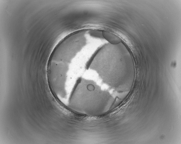 X0000093731283200711131029