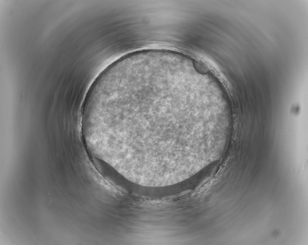 X0000093731284200711131029