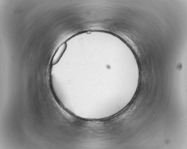 X0000093731285200711131029