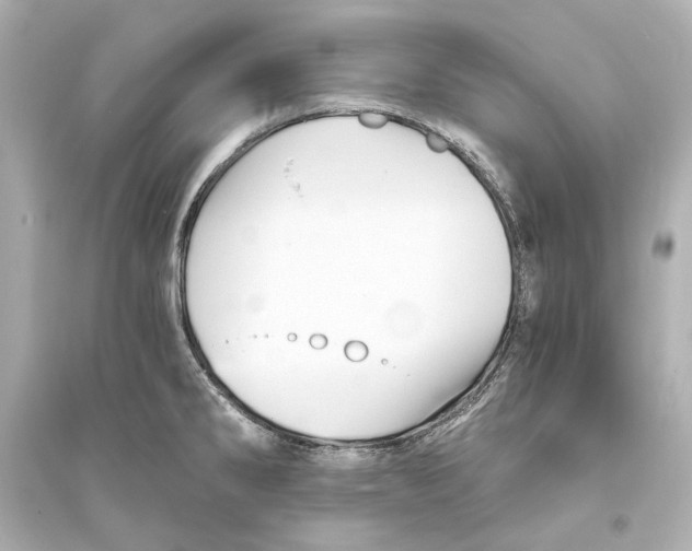 X0000093731286200711131029