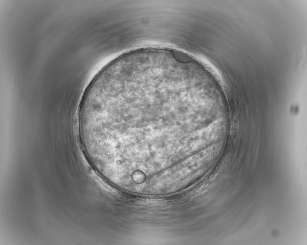 X0000093731287200711131029