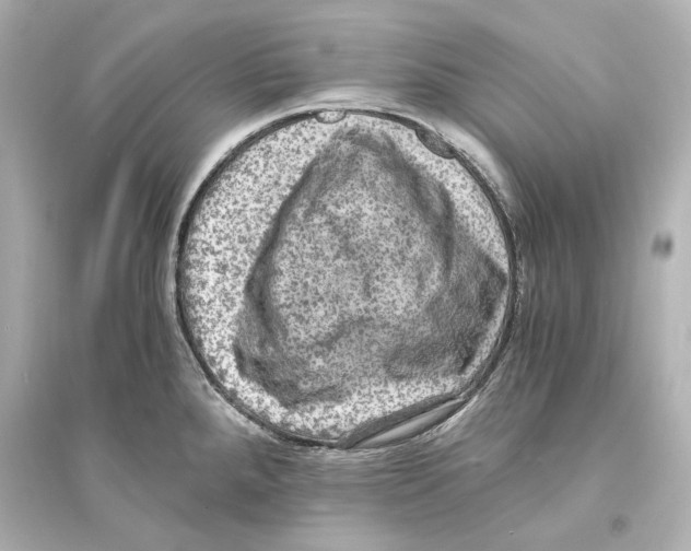 X0000093731288200711131029