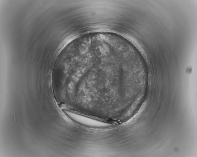 X0000093731289200711131029