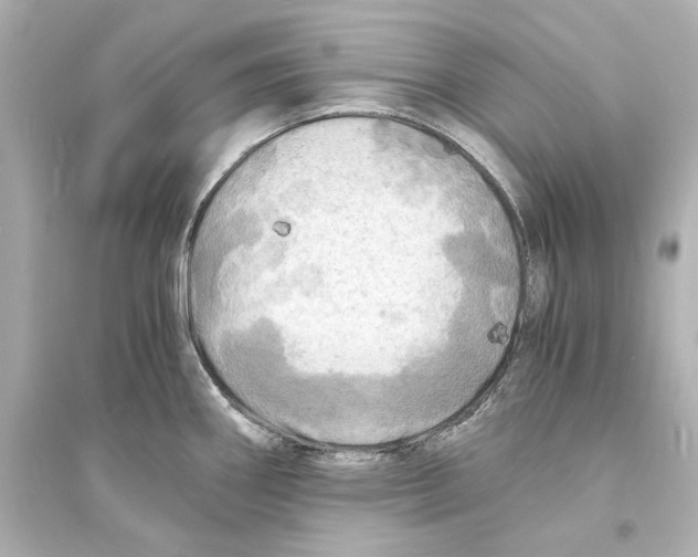 X0000093731290200711131029