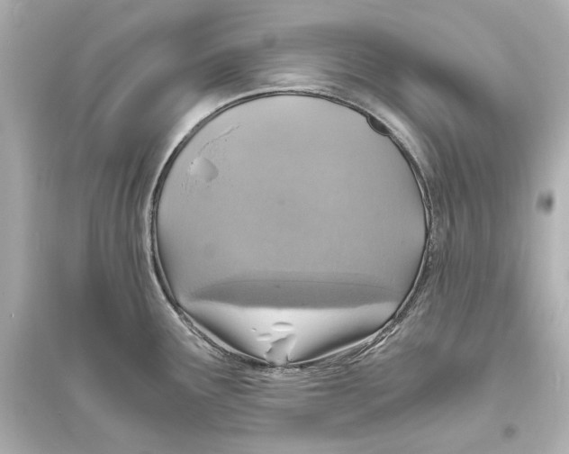 X0000093731291200711131029