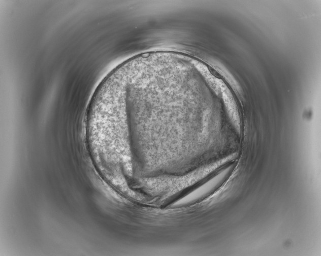 X0000093731292200711131029