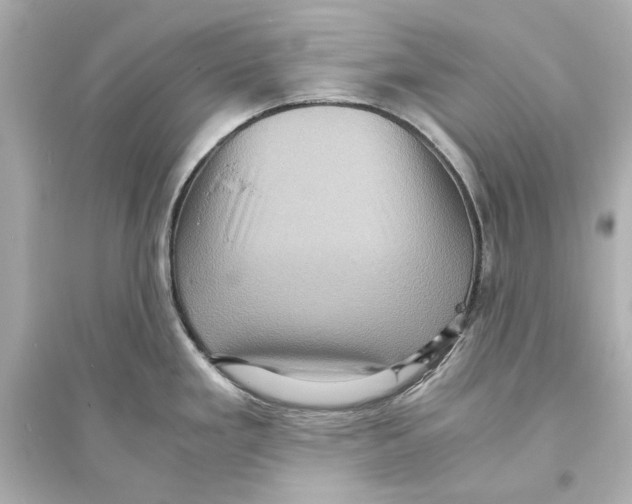 X0000093731293200711131029