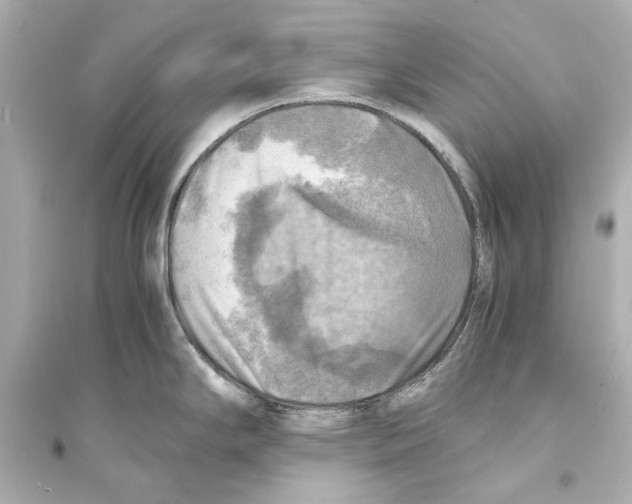 X0000093731294200711131029