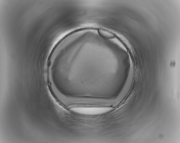 X0000093731295200711131029