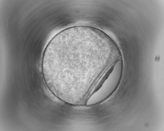 X0000093731296200711131029