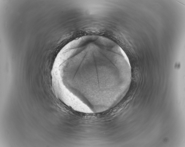 X0000093731297200711131028