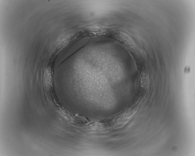 X0000093731298200711131028