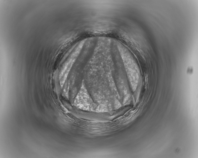 X0000093731300200711131028