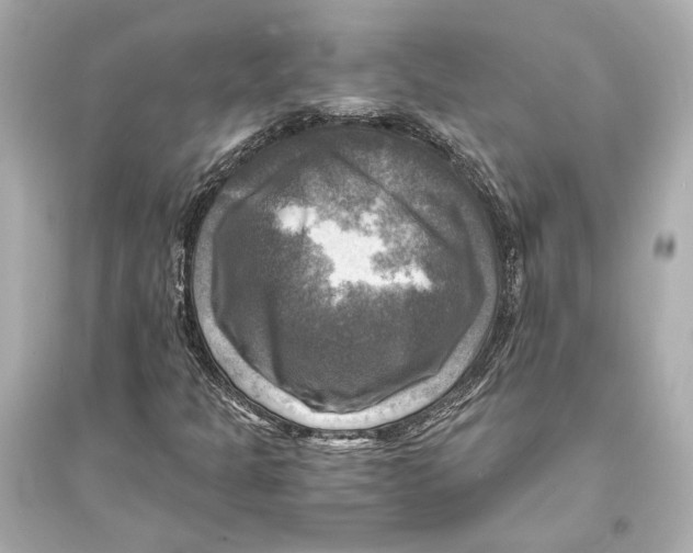 X0000093731301200711131028