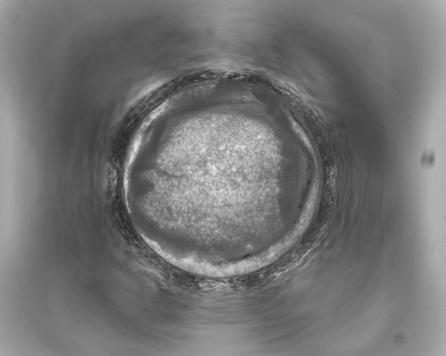 X0000093731302200711131028