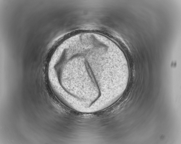 X0000093731304200711131028