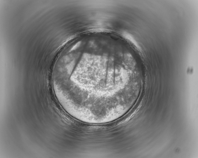 X0000093731305200711131028