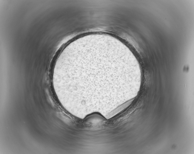 X0000093731308200711131028