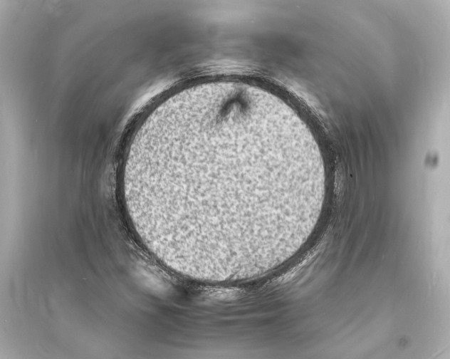 X0000093731309200711131028