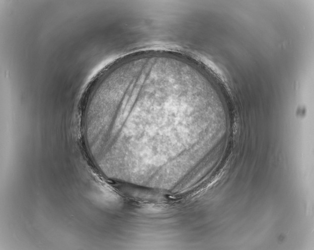 X0000093731310200711131028