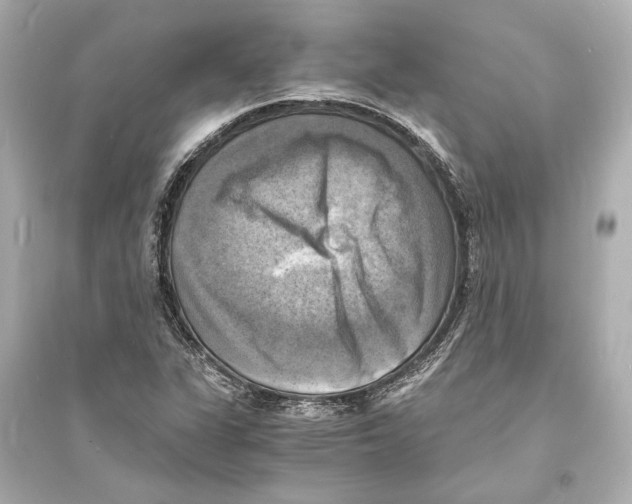 X0000093731311200711131028