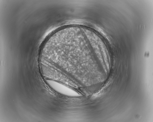 X0000093731312200711131028