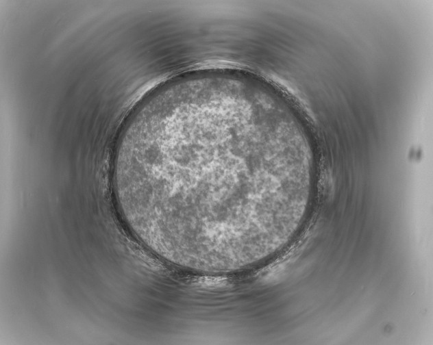 X0000093731313200711131028