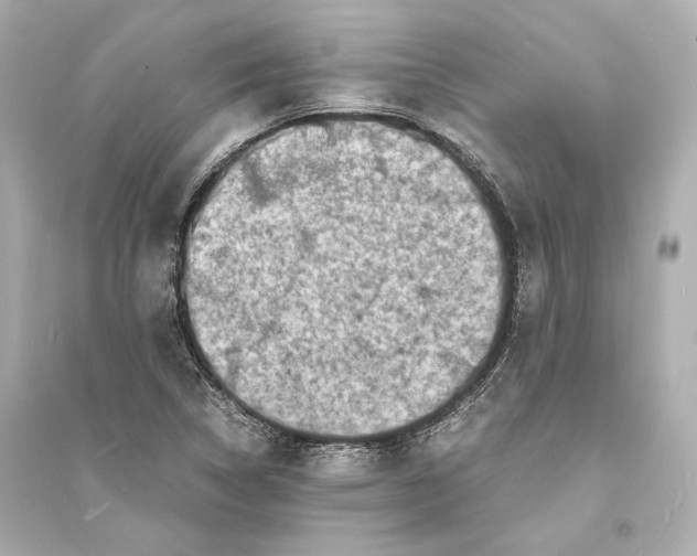 X0000093731314200711131028