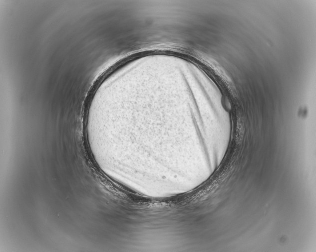 X0000093731316200711131028