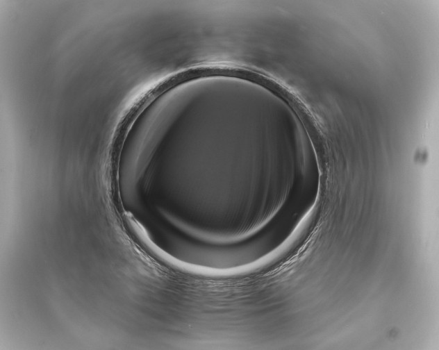 X0000093731319200711131028