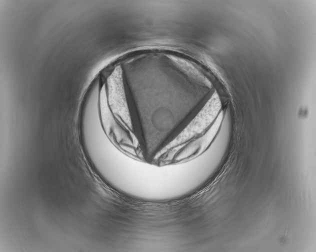 X0000093731320200711131028