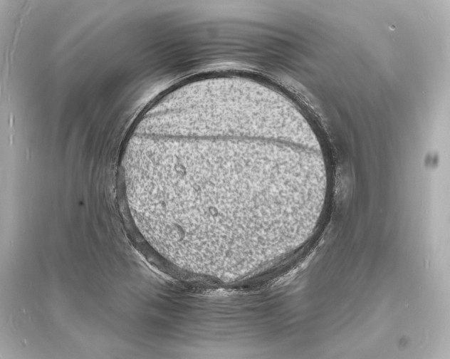 X0000093731321200711131028