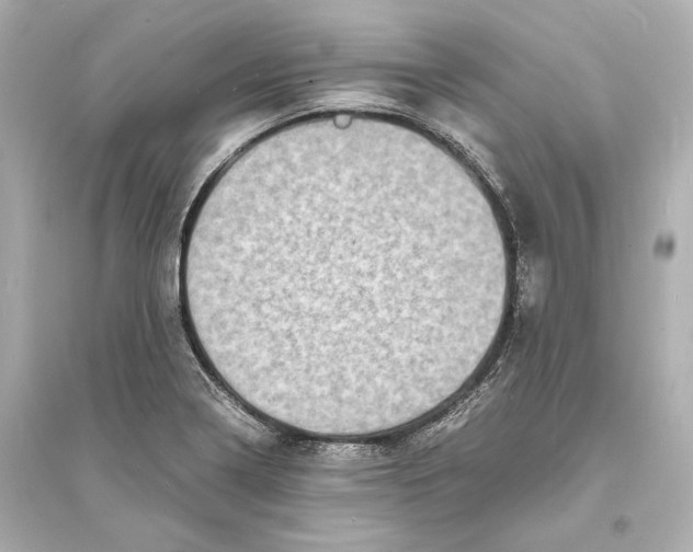 X0000093731322200711131028