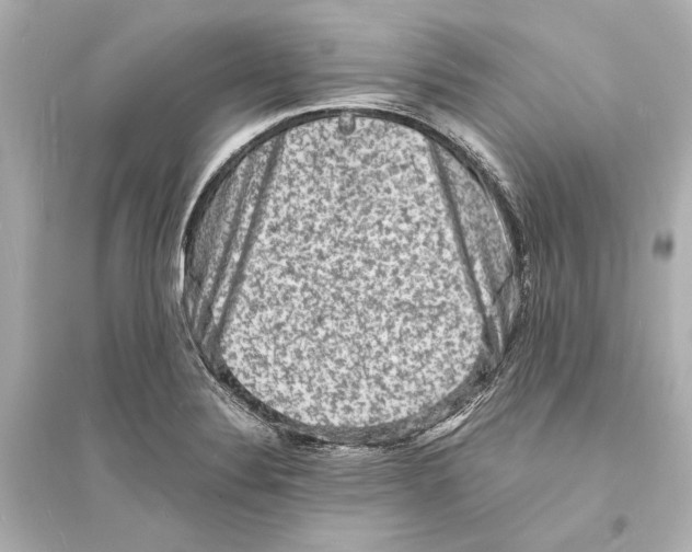 X0000093731324200711131028