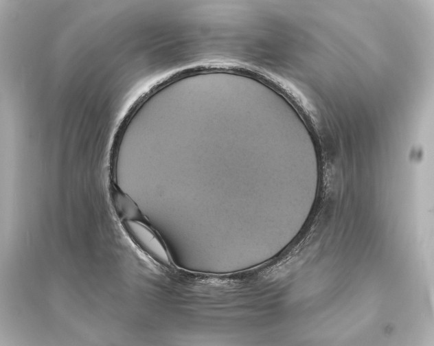 X0000093731327200711131028