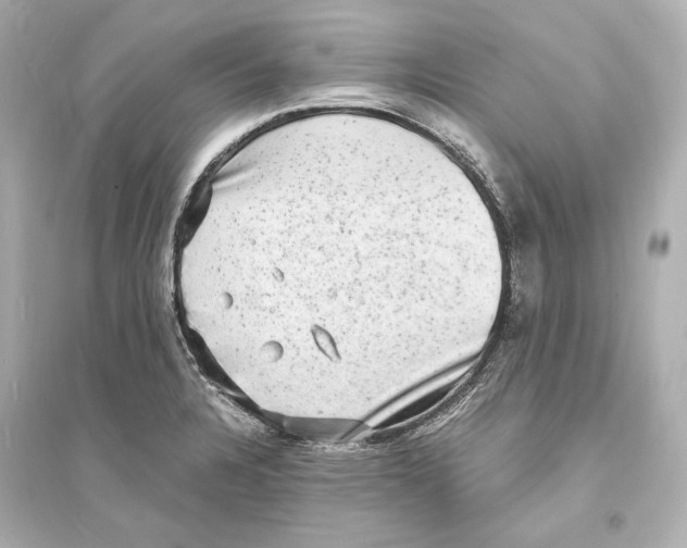 X0000093731328200711131028