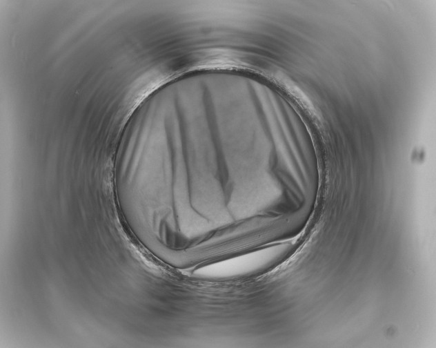 X0000093731329200711131028