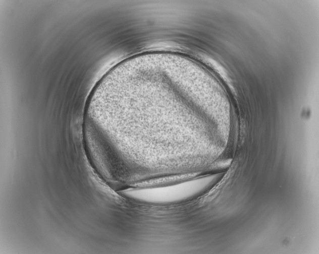 X0000093731330200711131028